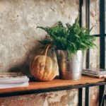 Top 5 Air Purifying Indoor Plants for Styling Your Home