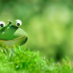 Best Free Image Optimization Tools for Image Compression