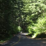 List of all Environment Related Days