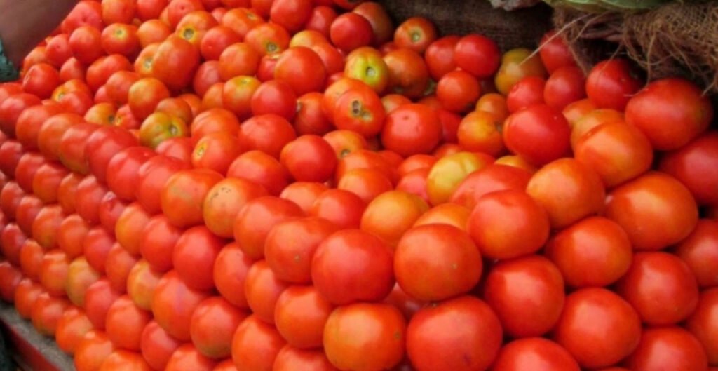 Selling Tomatoes Theblondpost