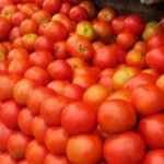 Selling Tomatoes Theblondpost