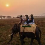 PM Modi in Assam Elephant Safari