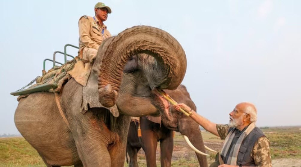 PM Modi Feeding The Elephants