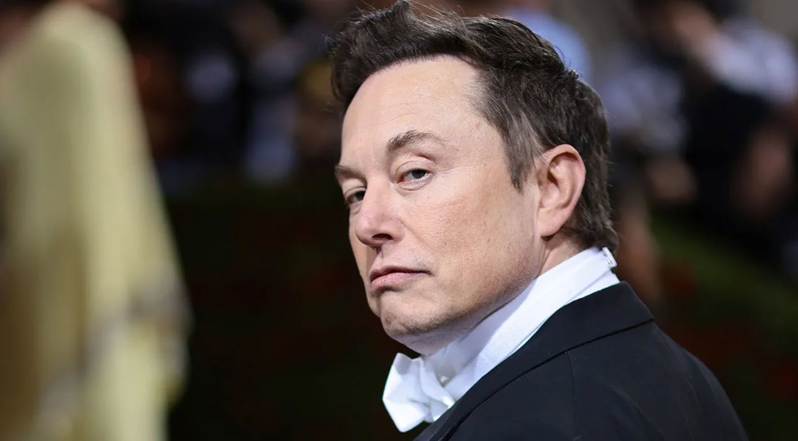 Elon Musk Tiktok Ban