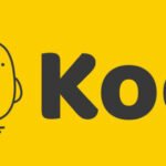 Koo Shut Down