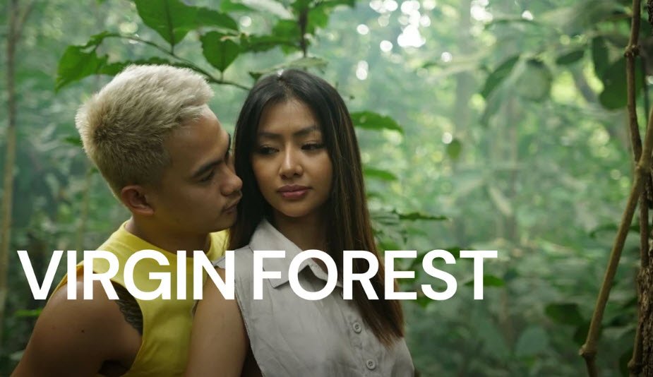 Virgin Forest (2024)