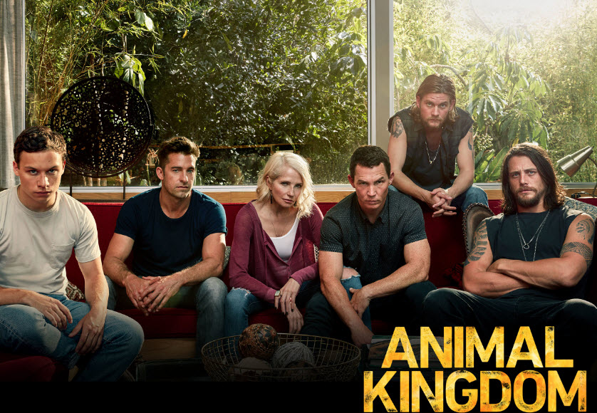 Animal Kingdom